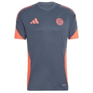 Maillot Training Bayern Munich 2025/2026 Gris – Image 2