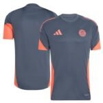 Maillot Training Bayern Munich 2025/2026 Gris
