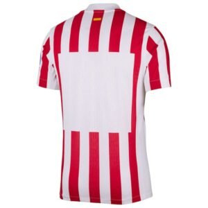 Maillot Atletico Madrid Domicile 2025-2026 – Image 3