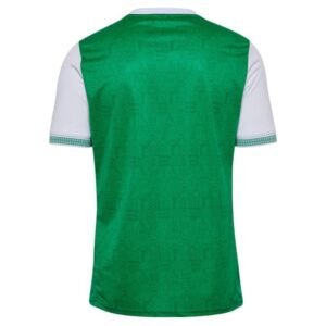 Maillot AS Saint-Étienne Domicile 2025/2026 – Image 2