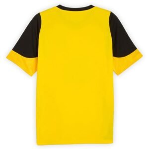 Maillot Training Borussia Dortmund 2025/26 Jaune Noir – Image 3