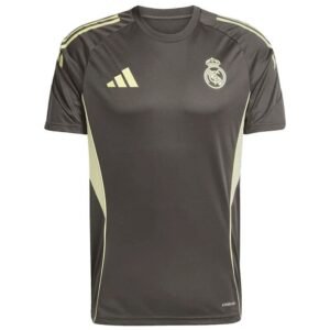 Maillot Training Real Madrid 2025/2026 Gris