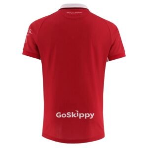 Maillot Bristol City Domicile 2025/2026 – Image 3