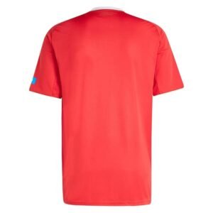 Maillot FC Nürnberg Third 2025/2026 – Image 3
