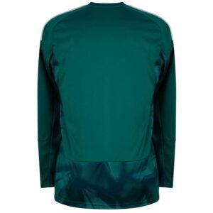 Maillot Allemagne Gardien Manches Longues 2026/2027 Vert – Image 2