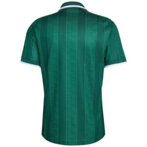 Maillot Afrique du Sud Extérieur 2026/2027 – Image 2