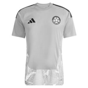 Maillot Colombie Gardien 2026/2027 Gris