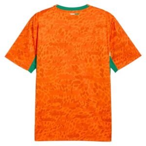Maillot Ivory Coast Domicile 2026/2027 – Image 2