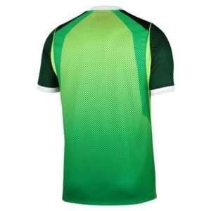 Maillot Nigeria Domicile 2026/2027 – Image 2