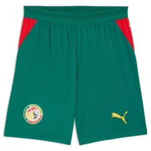 Maillot Sénégal Extérieur Enfant 2026/2027 – Image 3