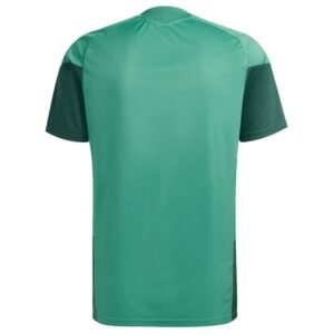 Maillot Training Algerie 2026/2027 Vert – Image 2