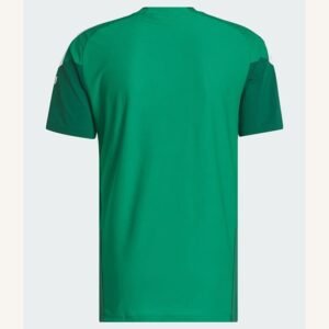 Maillot Training Mexique 2026/2027 Vert – Image 2