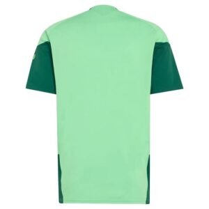 Maillot Training Mexique 2026/27 Vert – Image 2