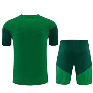 Ensemble Maillot Training Algerie 2026/2027 Vert – Image 2